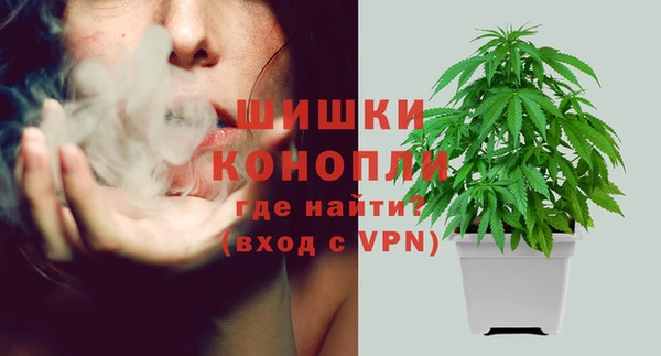 спайс Шали