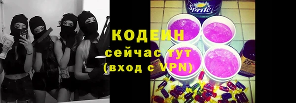 ешки Корсаков