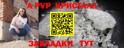 бошки Будённовск