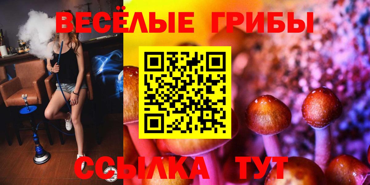 Стерлитамак  Галлюциногенные грибы мицелий  Вход с VPN 