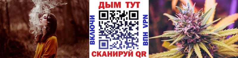Марихуана сатива  Стерлитамак 